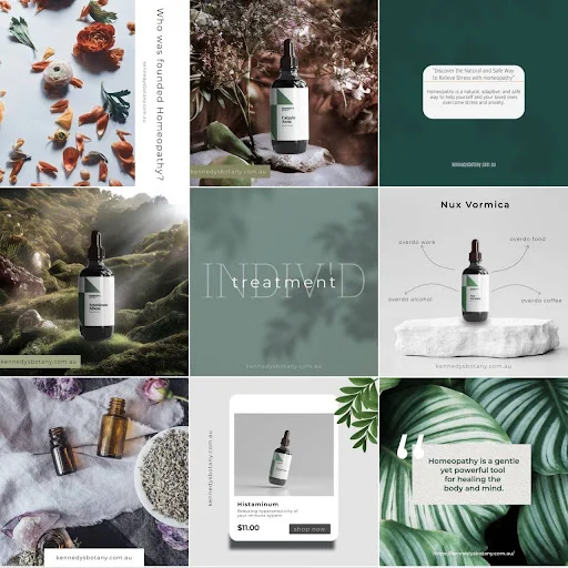 Kennedys botany business page for instagram