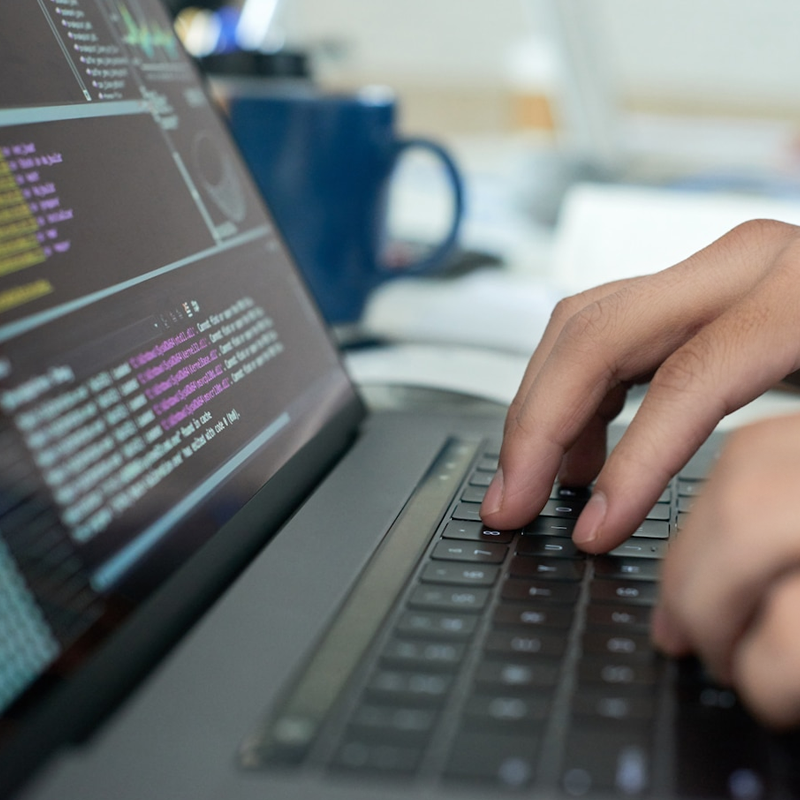 Website Development on Laravel
