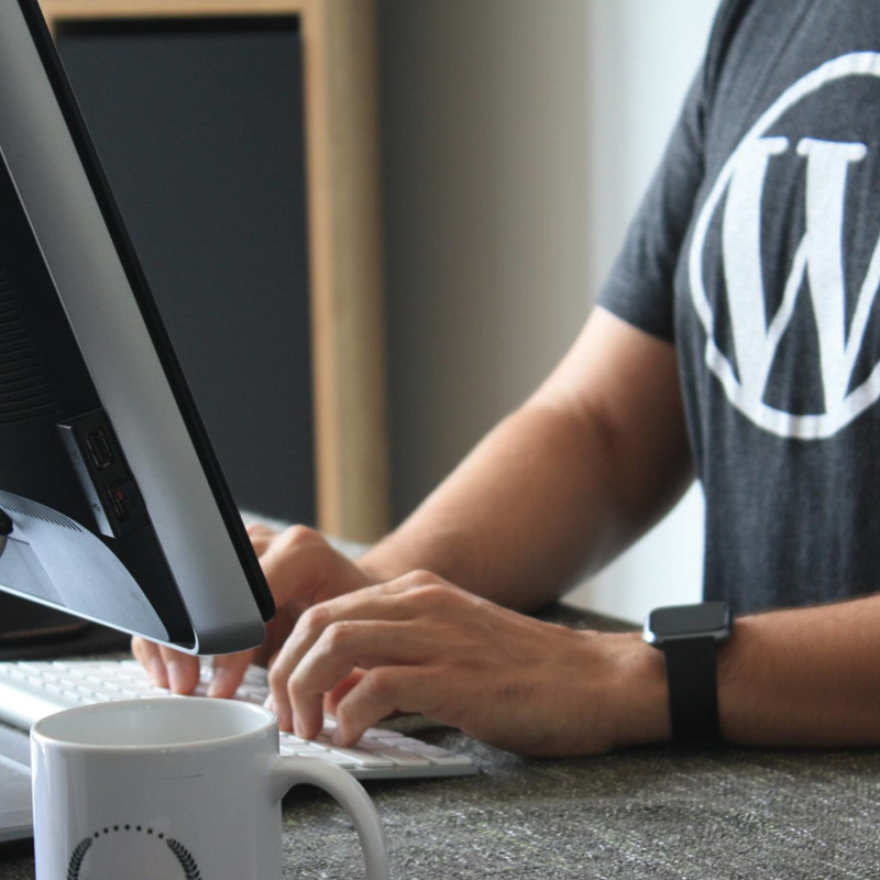 Техническая поддержка WordPress