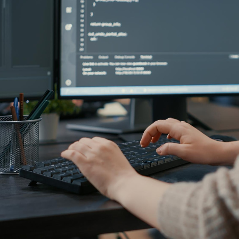 Website Development on CMS WordPress