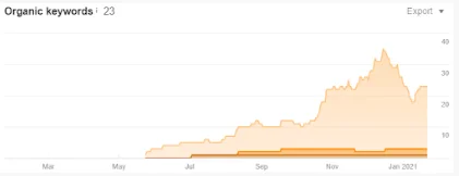 internet marketing seo services to increase organic keywords