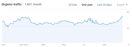 seo website audit services for organic traffic