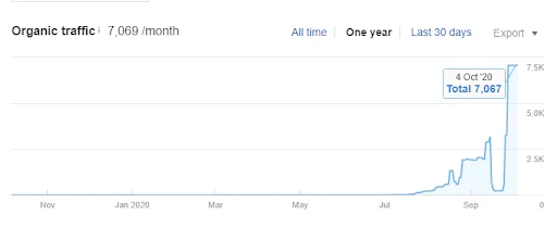 guaranteed seo services to rise organic traffic