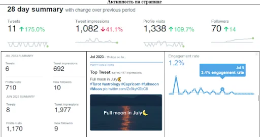 Twitter promotion analysis