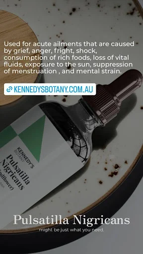 instagram story designs for Kennedys botany