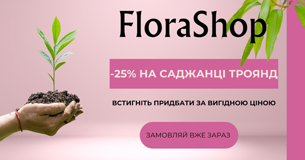 Flora Shop.