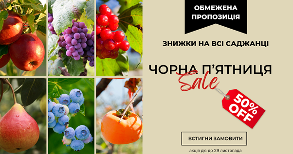 Flora Shop advertisement