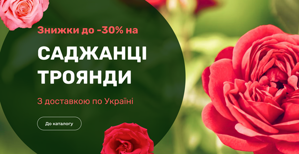 Flora Shop advertisement