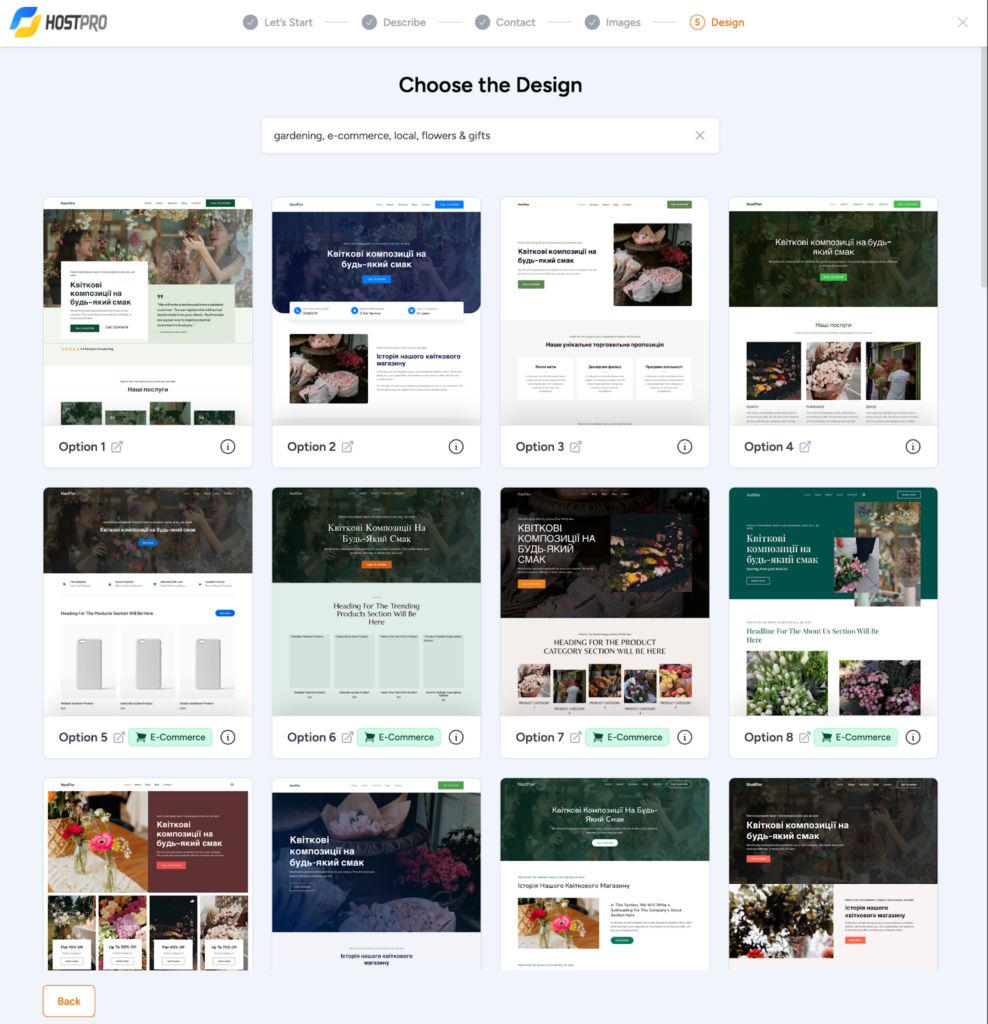 Website design